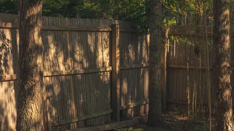 Timber paling boundary fence between trees
