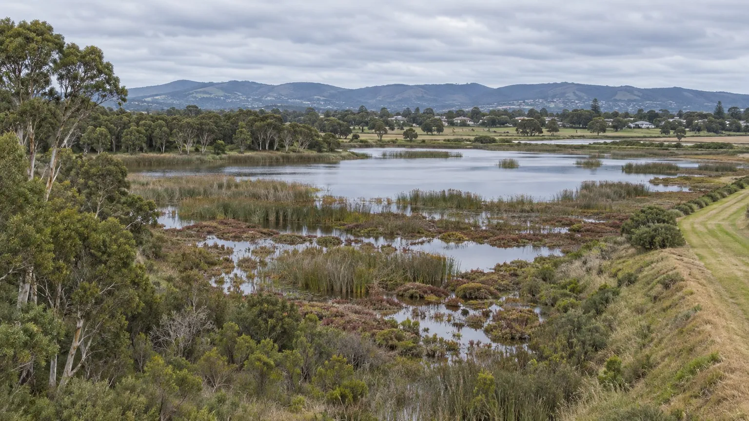 Remnant coastal wetland with shallow open water, reed beds and samphire flats, paperbark along the margin and paddocks with scattered dwellings in the middle distance under an even overcast sky