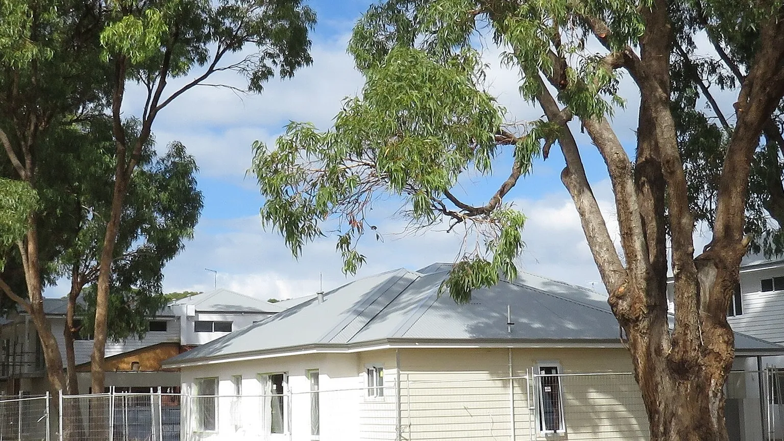 A newly completed single-storey house with pale render and a light roof behind native trees in a new residential estate