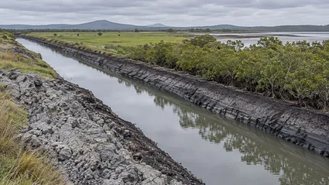 Open drainage channel cut through coastal floodplain with grey clay spoil