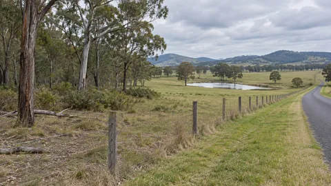 Farm fence dividing remnant woodland from open pasture beside a rural road