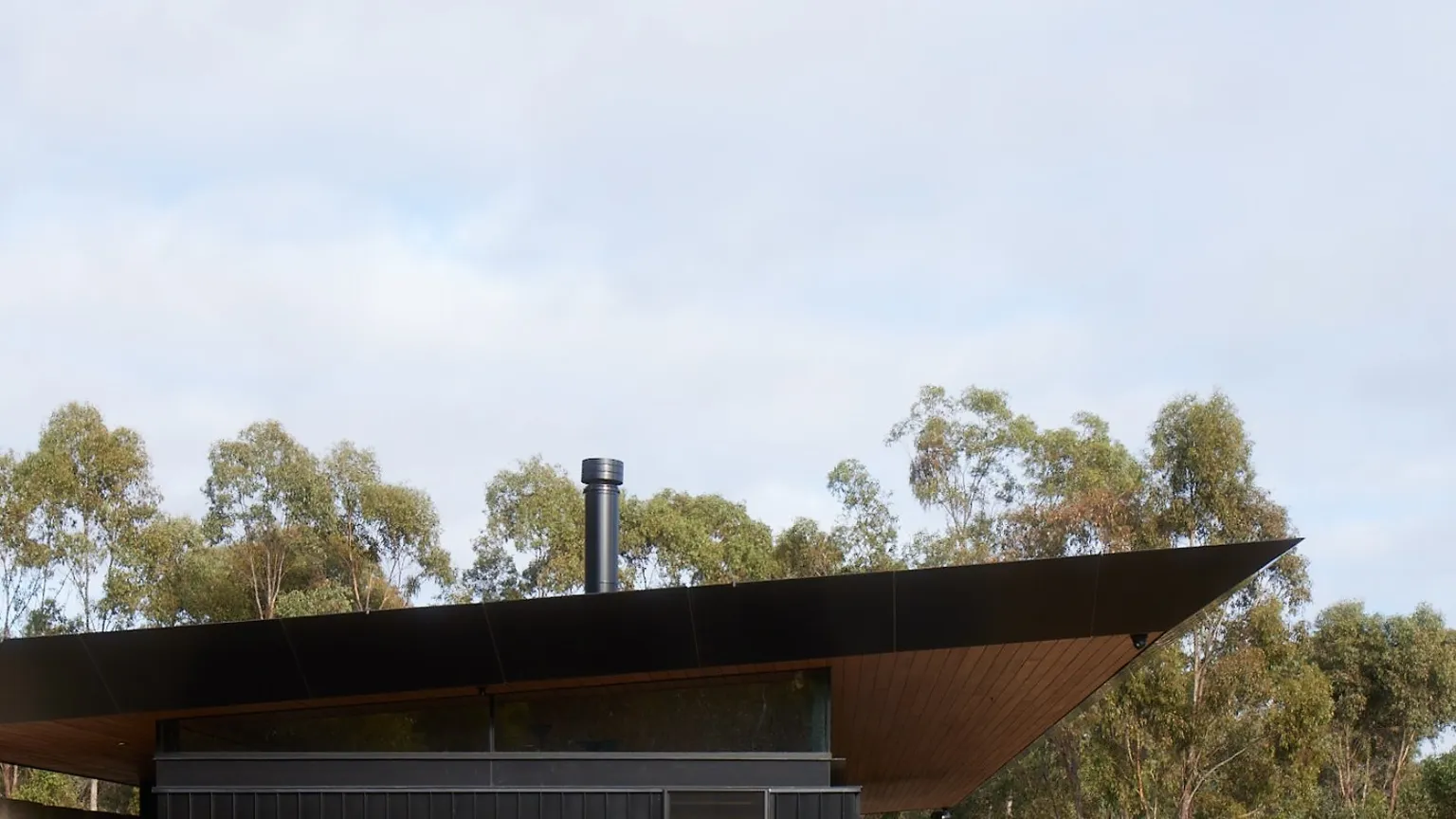 A contemporary dark-clad Australian house with a deep flat roof and native landscaping in daylight