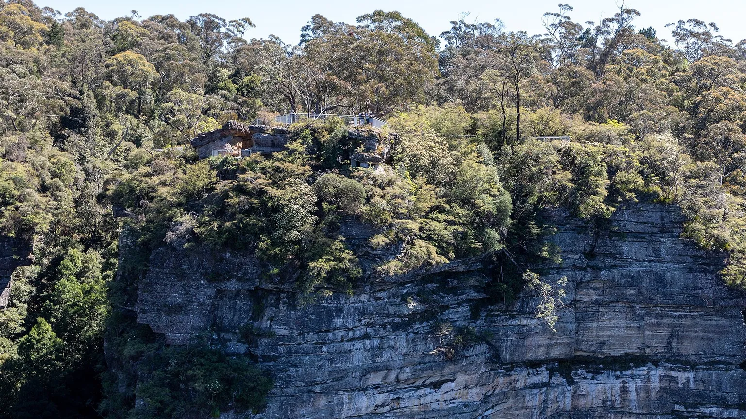 A steep bushland slope in New South Wales with a layered sandstone rock face exposed beneath dense eucalypt forest.