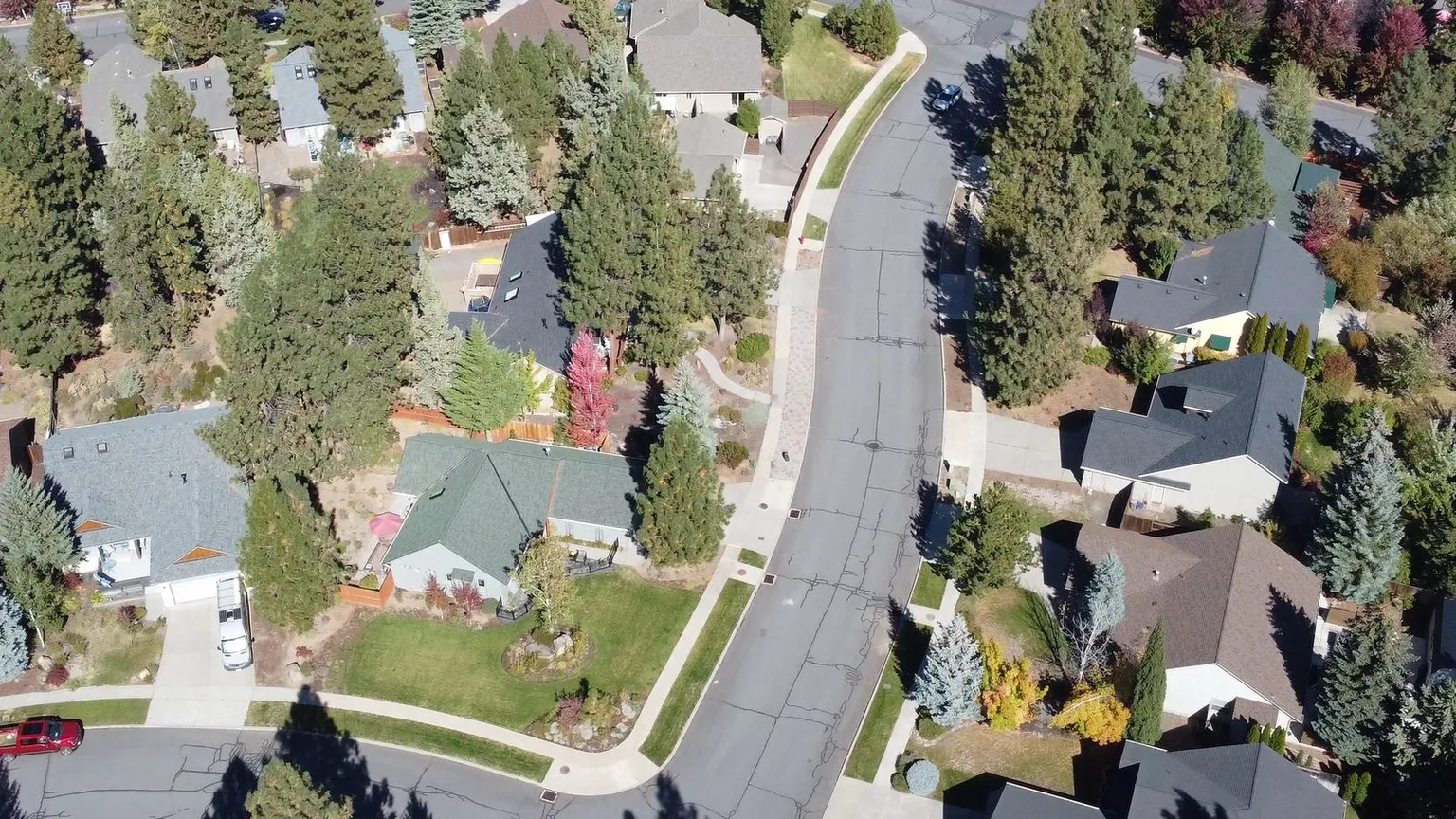 Aerial view of a leafy suburban neighbourhood with houses, driveways and a curved tree-lined street