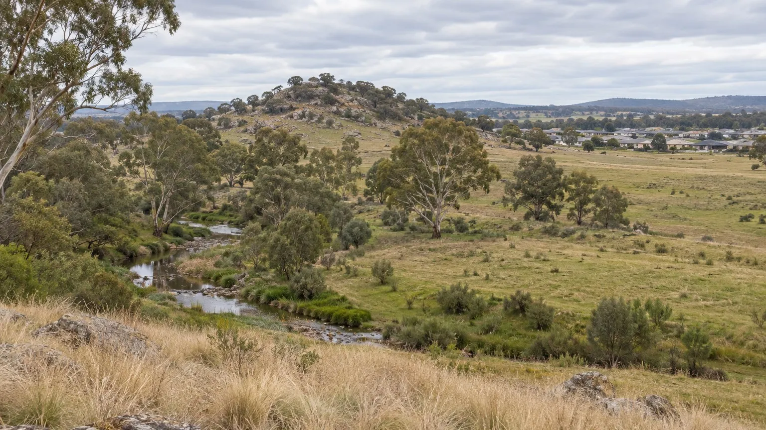 Open undeveloped rural land on the edge of an Australian regional town with a shallow creek line and scattered mature eucalyptus trees, dry native grass and a rocky rise, with low-density housing visible on the far horizon under a pale overcast sky