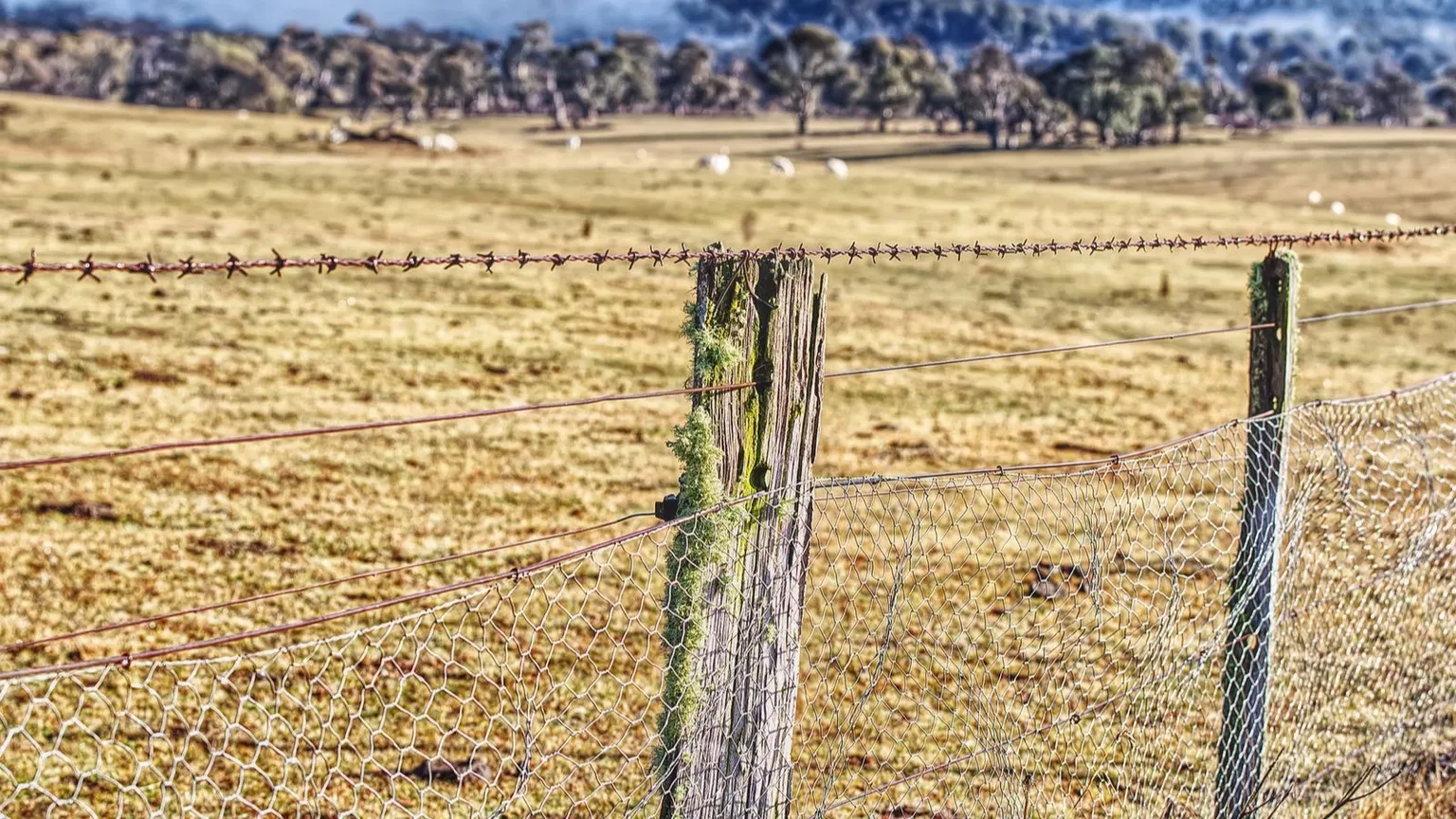 Tranquil Australian rural landscape with a barbed wire fence, dry grass and distant hills under a blue sky